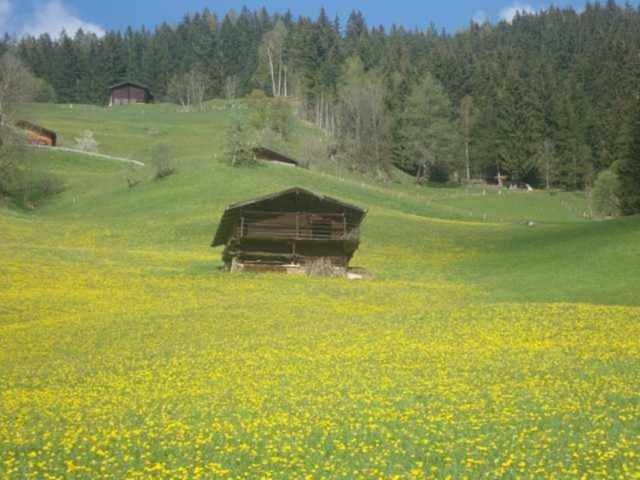 Appartementhaus Eberharter Hart im Zillertal Exterior foto