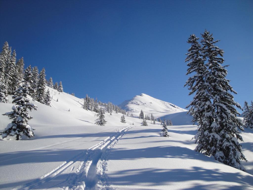 Appartementhaus Eberharter Hart im Zillertal Exterior foto
